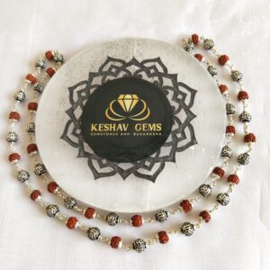 Rudraksh Silver Mala