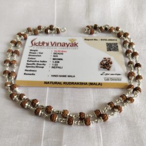 Pure Silver Coated 4 mm Rudraksh Mala