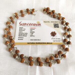 Pure Silver Coated 6 mm Rudraksh Mala